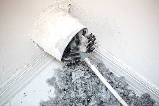 Best Air Duct Cleaning Near Me  in Cao, ND